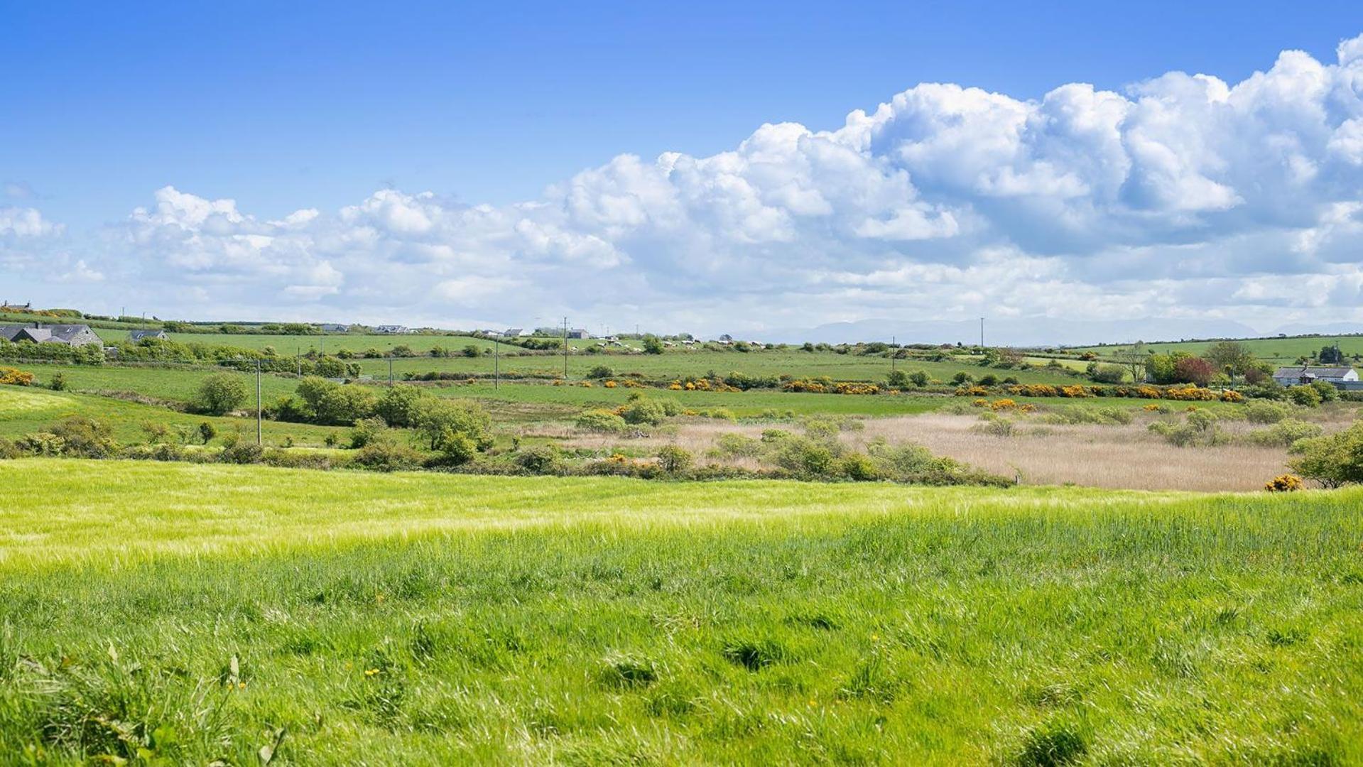 Glan Gors Felin Villa Llanrhyddlad ภายนอก รูปภาพ